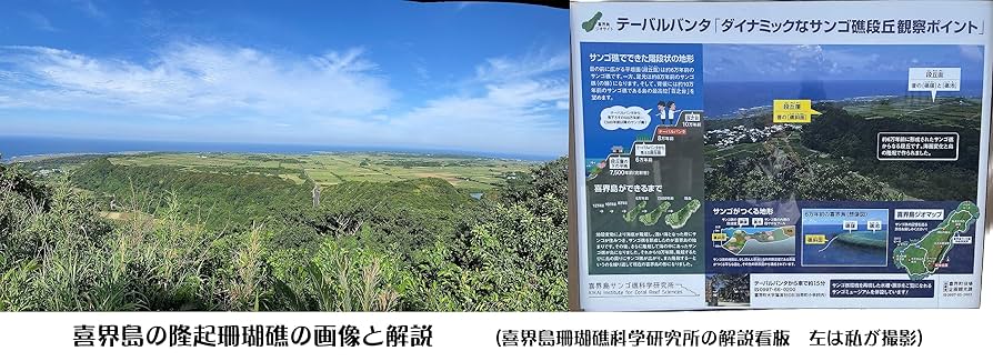 1,000件達成　信頼の土盛たんかん❢家庭用 9㌔ キズ有 きびざら1キロ Amazon.co.jp: 道の島農園 「粗糖」2025年度産 500g 1 袋「喜界